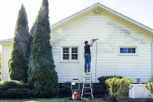 Best Local Pressure Washing Services  in Mchenry, IL