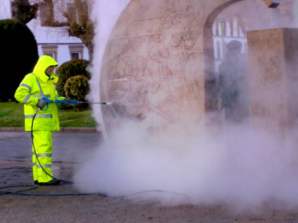 Best House Pressure Washing  in Mchenry, IL